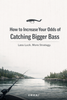 How to Increase Your Odds of Catching Bigger Bass